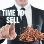 Best Time to Sell Scrap Copper